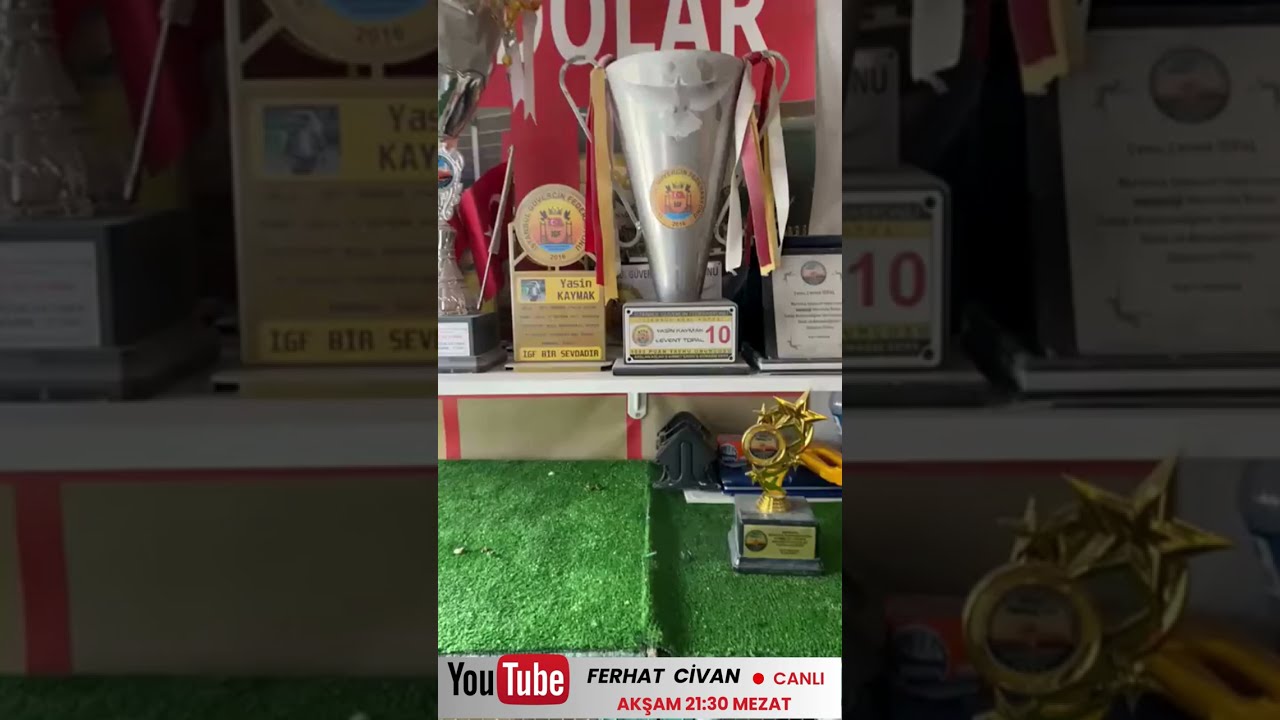 Ferhat Civan Canlı G&uuml;vercin Oyun Kuşu Mezatı #canlı