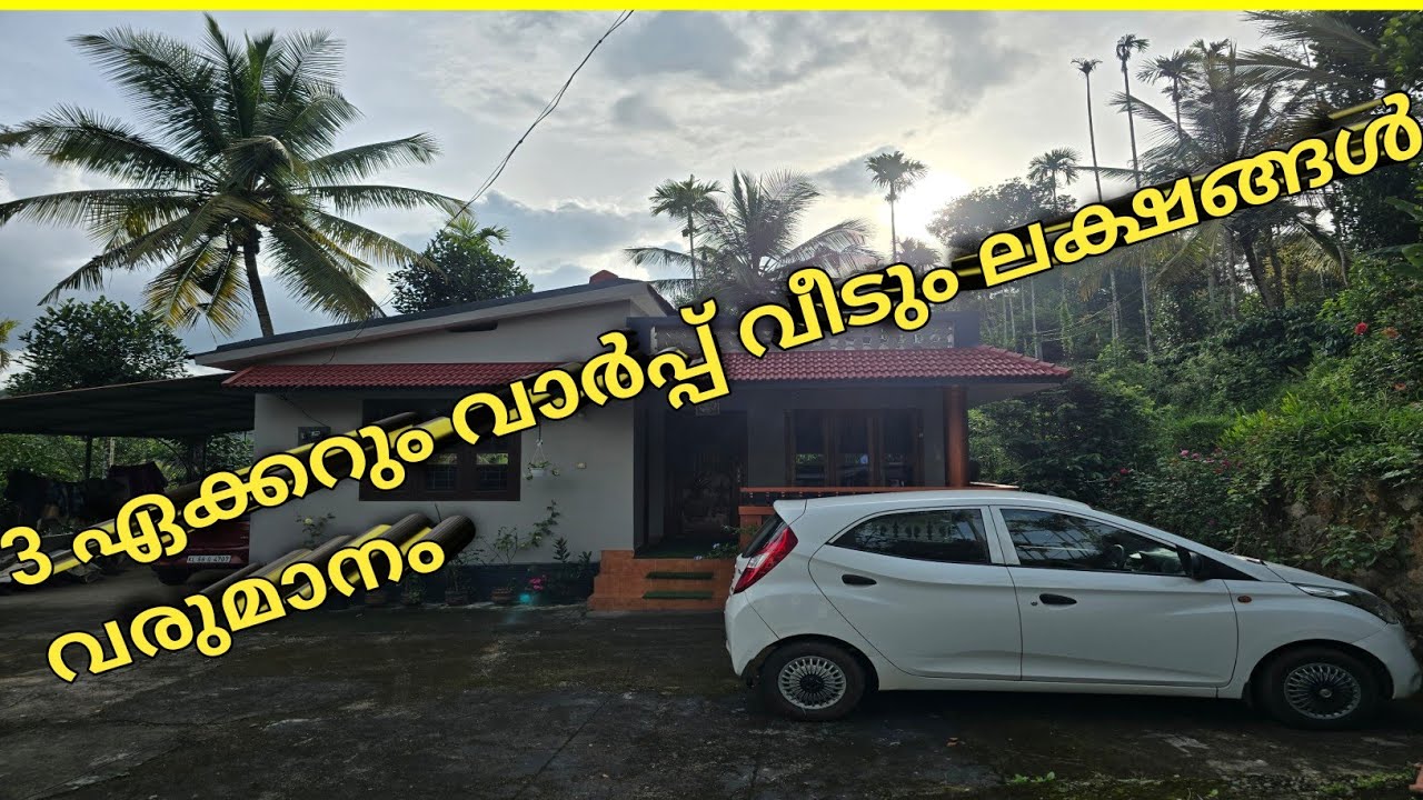 3 ഏക്കറും വാർപ്പ് വീടും അമ്പലവയൽ വയനാട് വില്പനക്ക് വർഷം ലക്ഷങ്ങൾ വരുമാനം