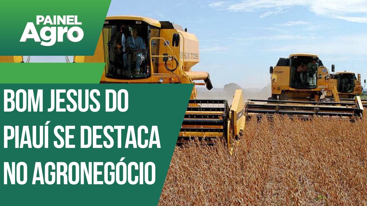 Bom Jesus do Piauí se destaca no agronegócio
