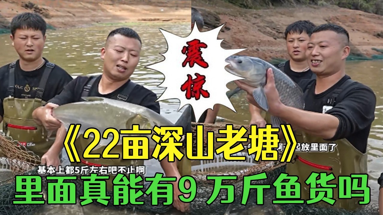 22畝深山老塘，裏面真能有9 萬斤魚貨嗎？ #小飛哥#三農#大熱門 #包塘 #護外