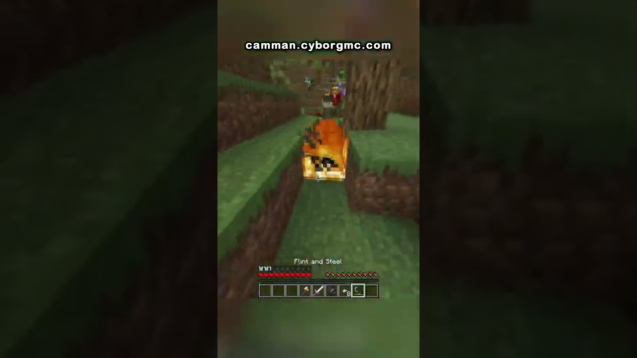 100 Player Minecraft Manhunt