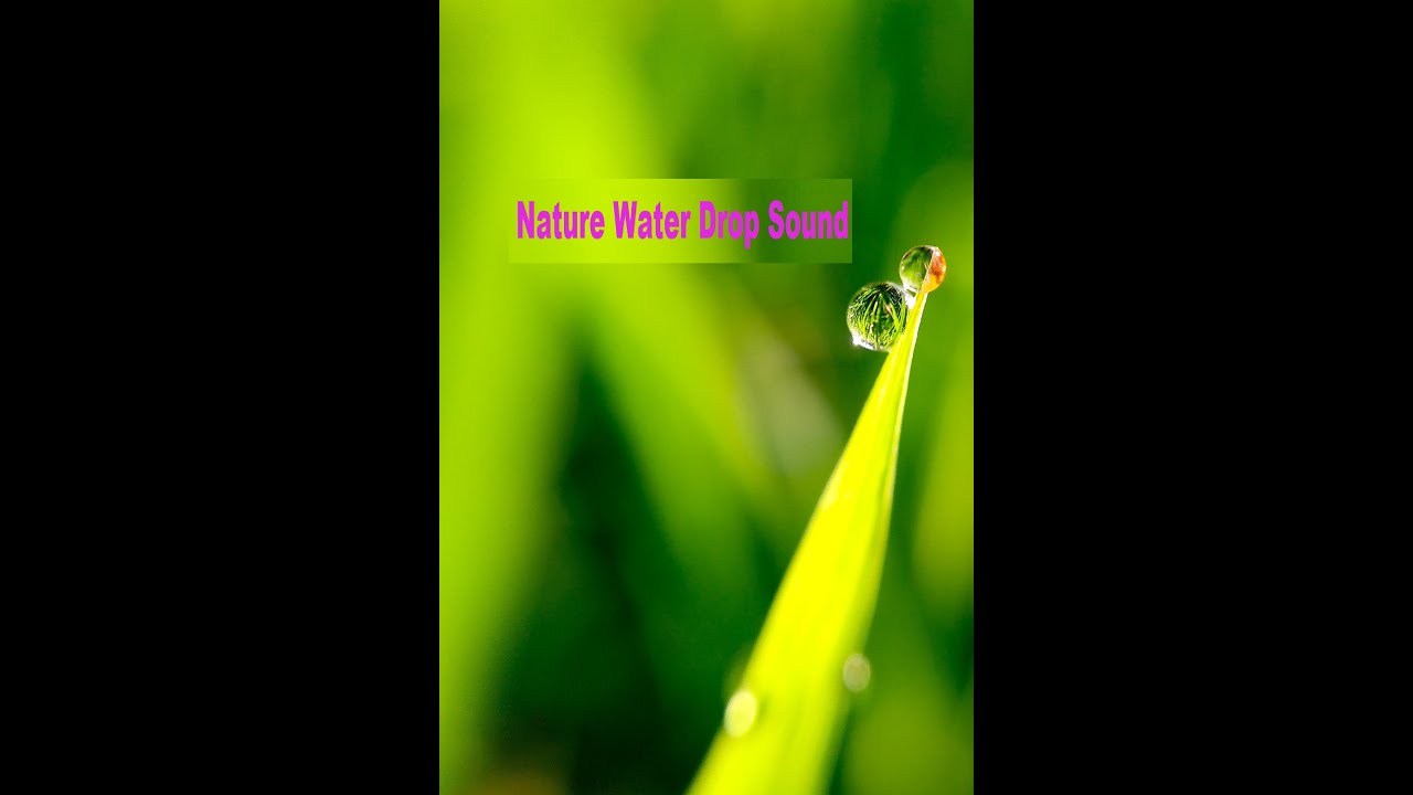 #shorts | nature water sounds for sleep || nature water sounds for sleep صوت المطر