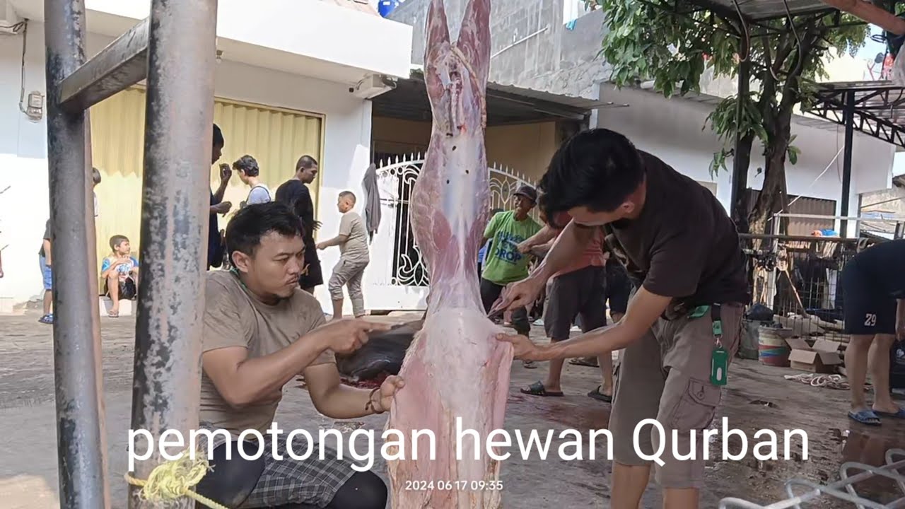 Sholat Idul-Adha 1445 dan pemotongan hewan qurban