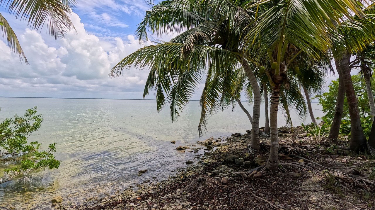 Amazing Beach Front Real Estate In Northern Belize | Corozal