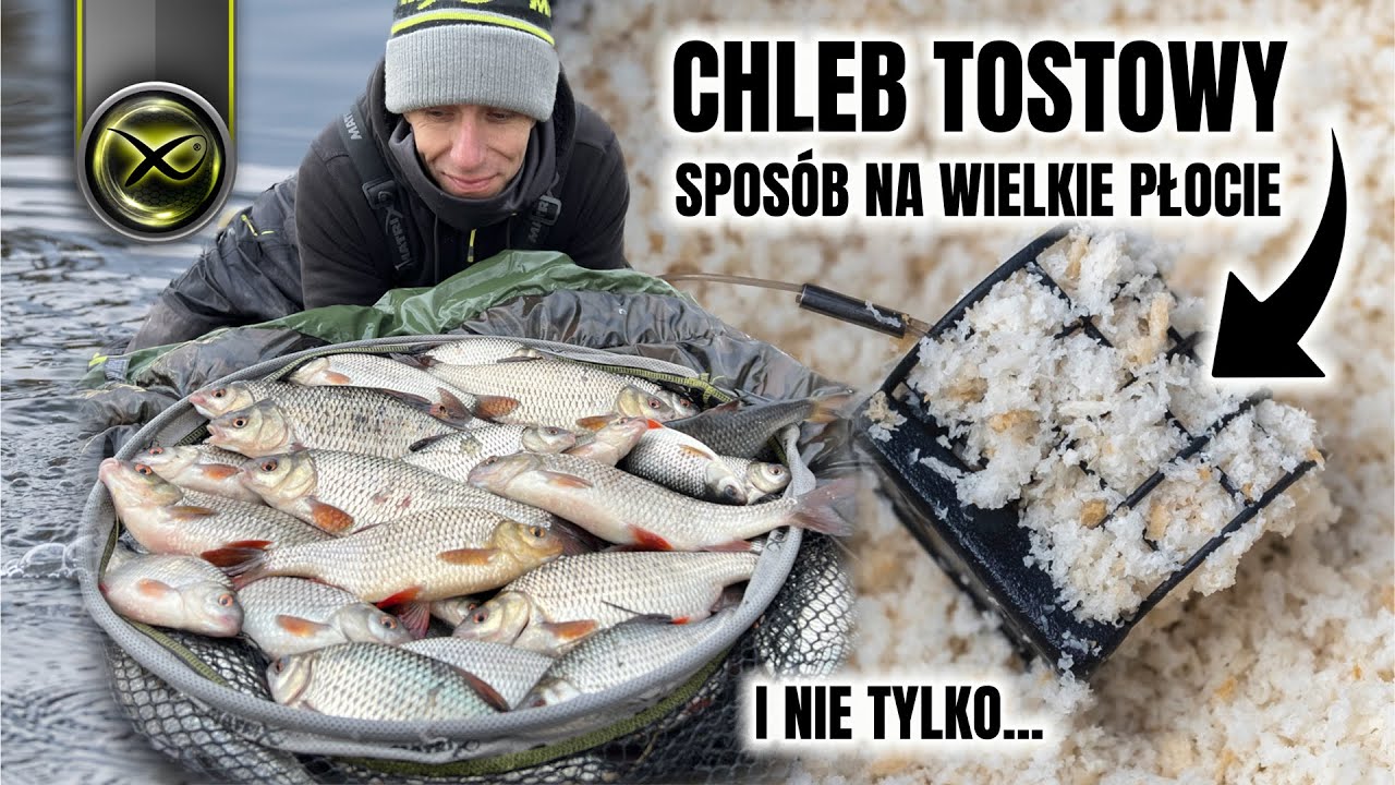 CHLEB TOSTOWY BEZ TAJEMNIC I JAK SKUTECZNIE NA NIEGO ŁOWIĆ - MARCIN KOSTERA | Feeder Coach Marcin