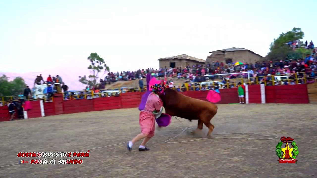TOROS BRAVOS DE PURA CASTA EN SAN MATEO CHURCAMPA HVCA FILMACIONES ROJITAS PRODUCCIONES TF995667274