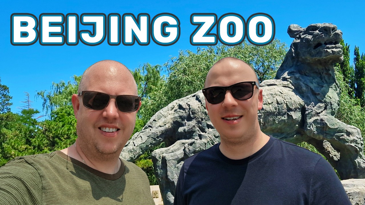 Beijing Zoo Vlog - A Day with the Giant Pandas & More! 🇨🇳