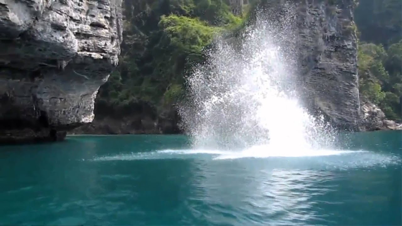 Tonsai - Free Fall
