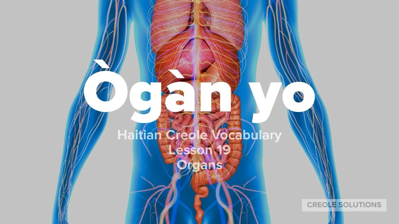 Lesson 19: Organs of the Human Body in Haitian Creole