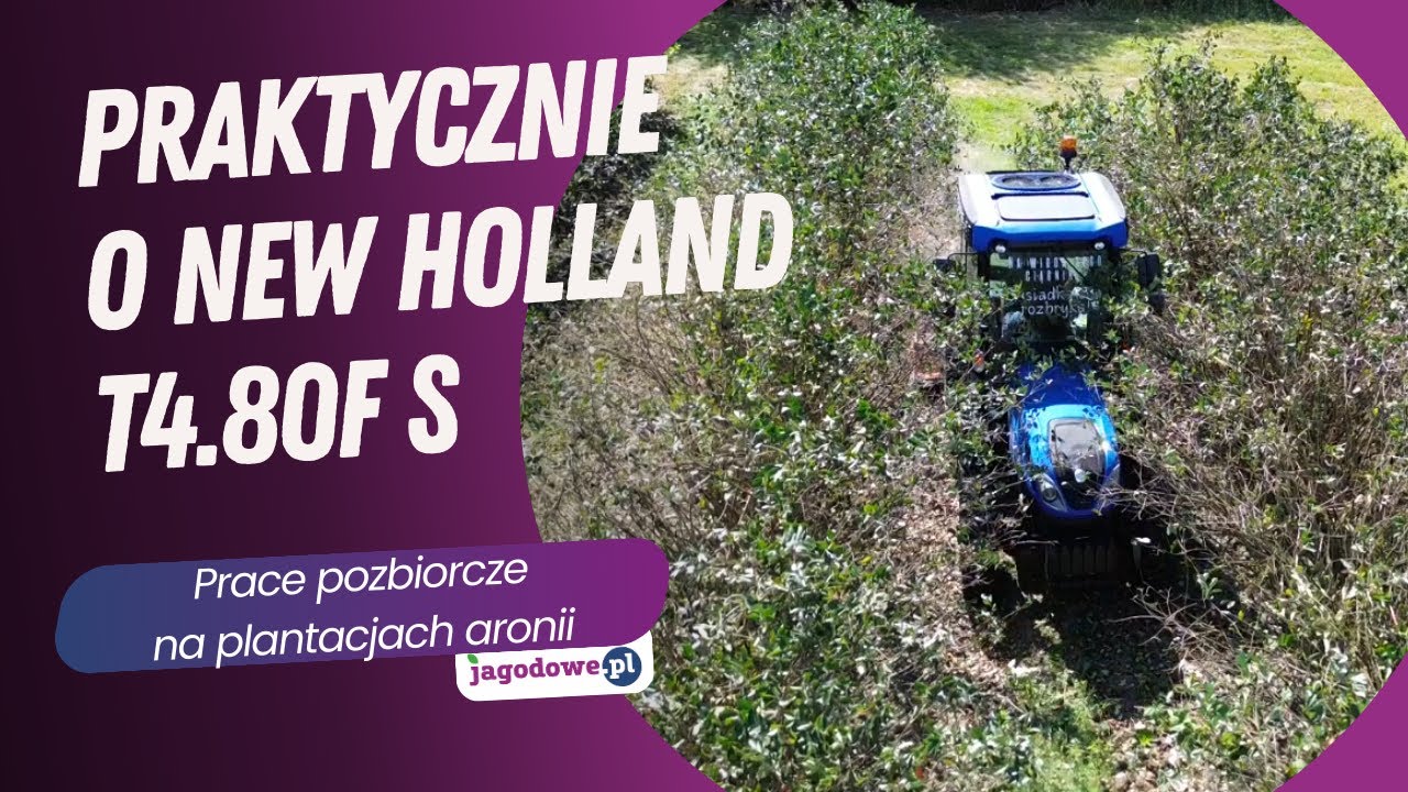 Praktycznie o Hew Holland T4.80F S - prace pozbiorcze na plantacji