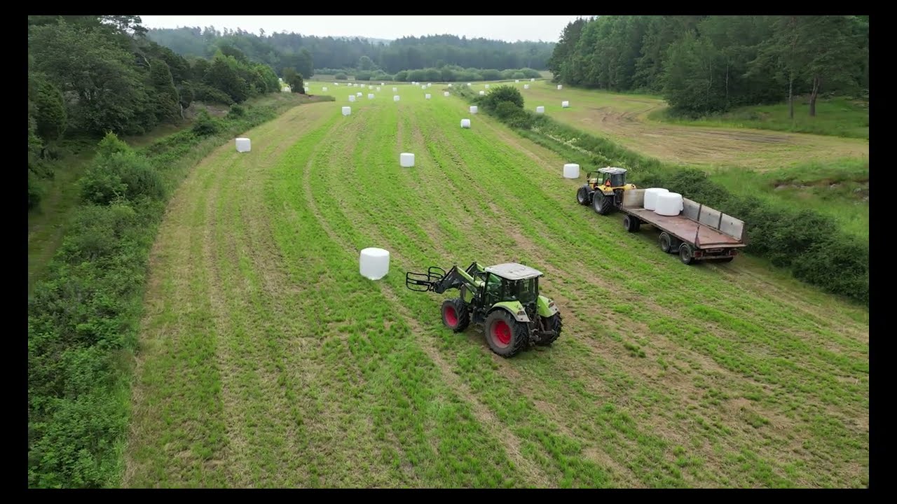 Bal upptagning Eriksbergs gård 2024