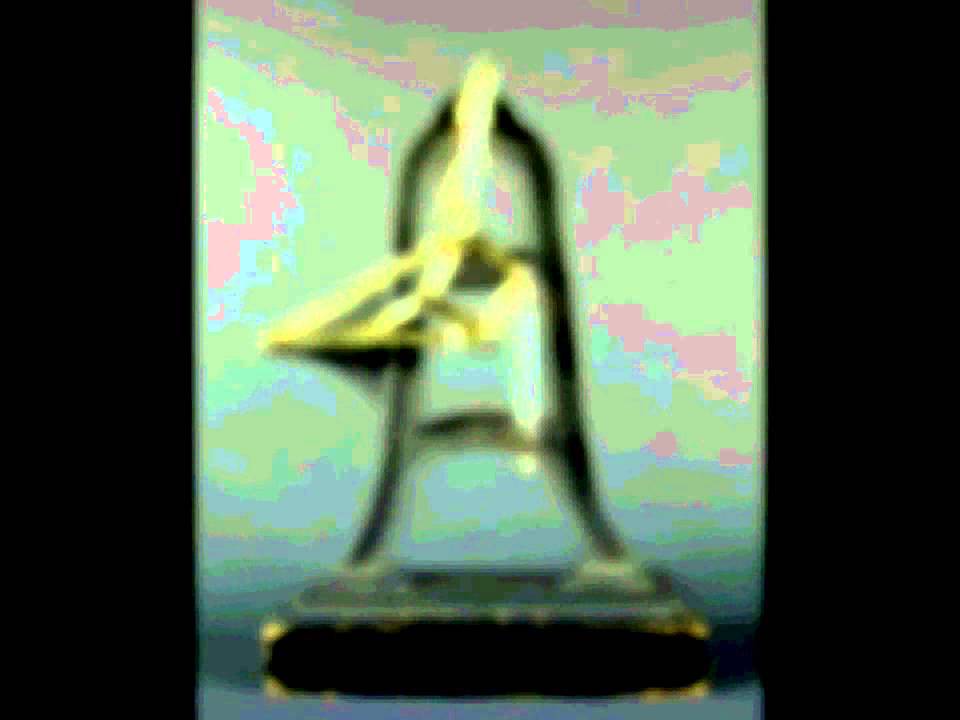 Subscribe Movie - DIYinventor / digitalPimple