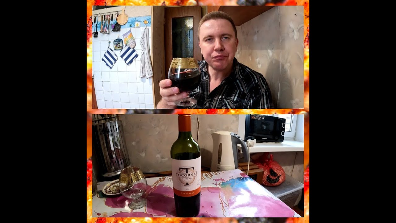 Вино красное полусухое «Cono Sur Tocornal Carmenere» ( Дегустация )