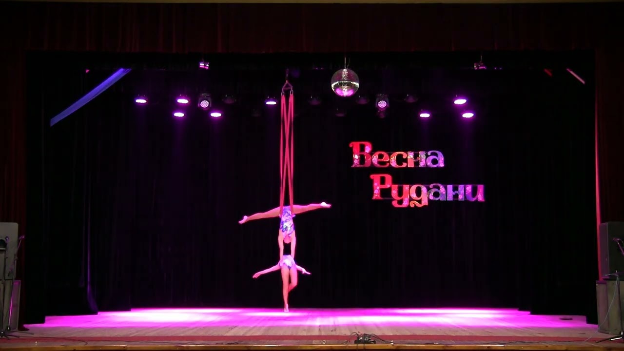 Зразковий цирковий колектив 