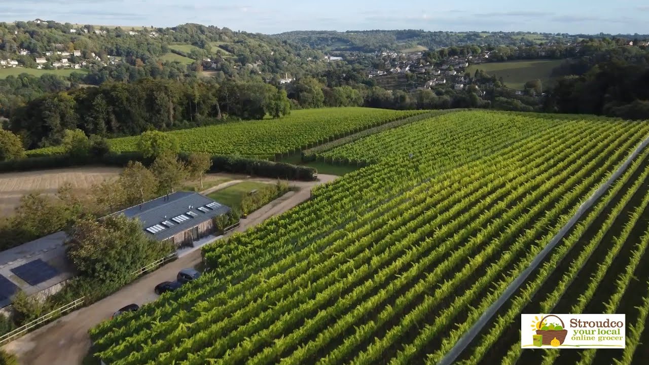 Woodchester: Our local family-run boutique 50+ acre vineyard and winery