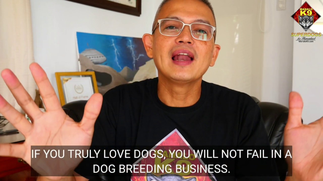HOW NOT TO FAIL IN DOG BREEDING BUSINESS / HOW TO SUCCEED 100% IN DOG BREEDING BUSINESS