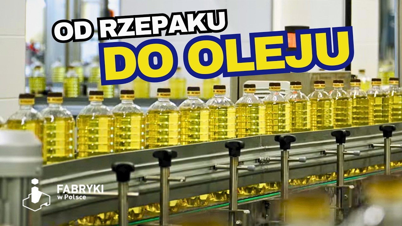 Jak powstaje polski OLEJ RZEPAKOWY?