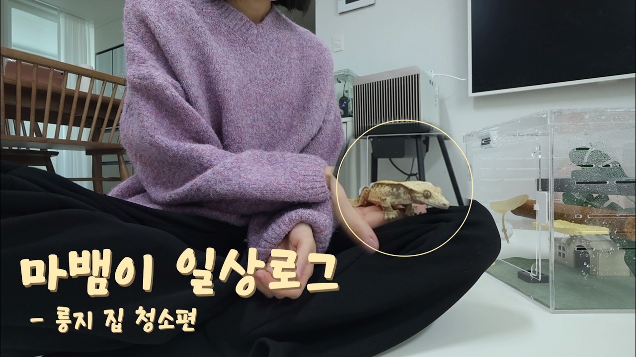 룽지 집 청소편_마뱀이 일상로그