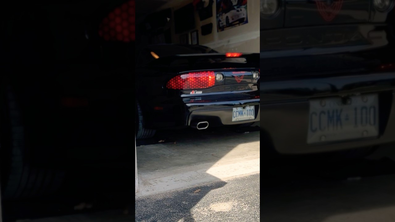2002 Trans-Am WS6 First start and proper run of 2025 Spring
