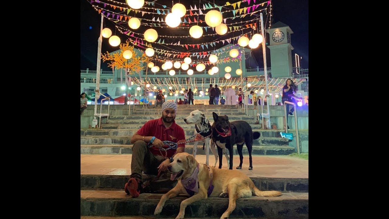 Timbu, Brownie & Kaalo at Petyo Festival 2019