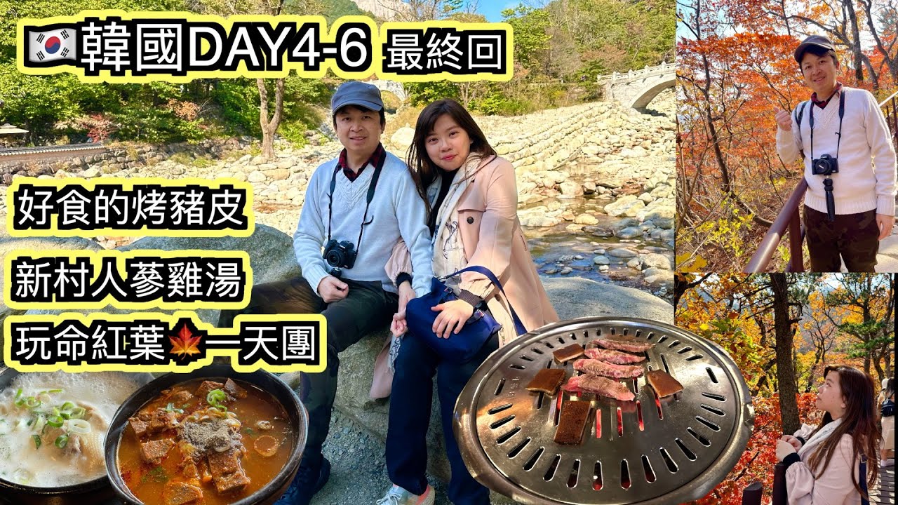韓國DAY4-6 最終回 弘大好味豬皮 玩命賞紅葉🍁團 新村人蔘雞湯