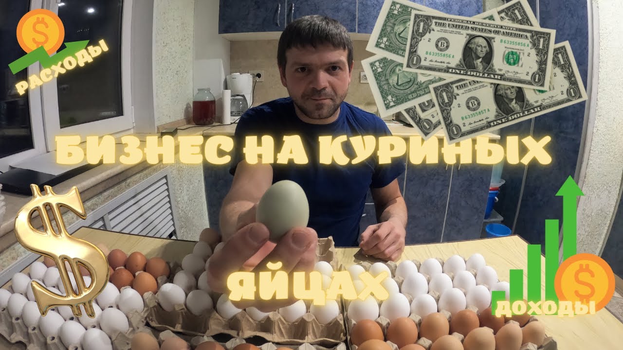 Бизнес на куриных яйцах. Жизнь в деревне.