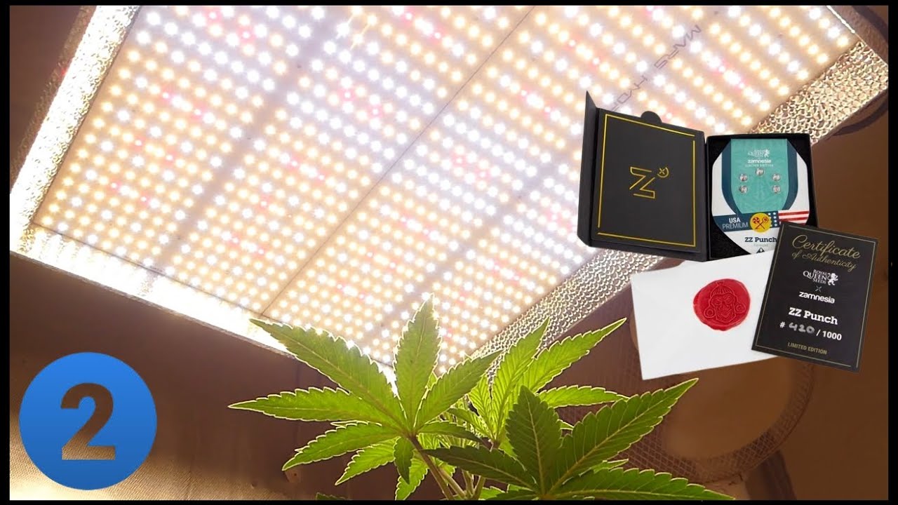 SEGUIMIENTO INDOOR #2 ZZ PUNCH | CONSEJOS VENTILACI&Oacute;N INTERIOR