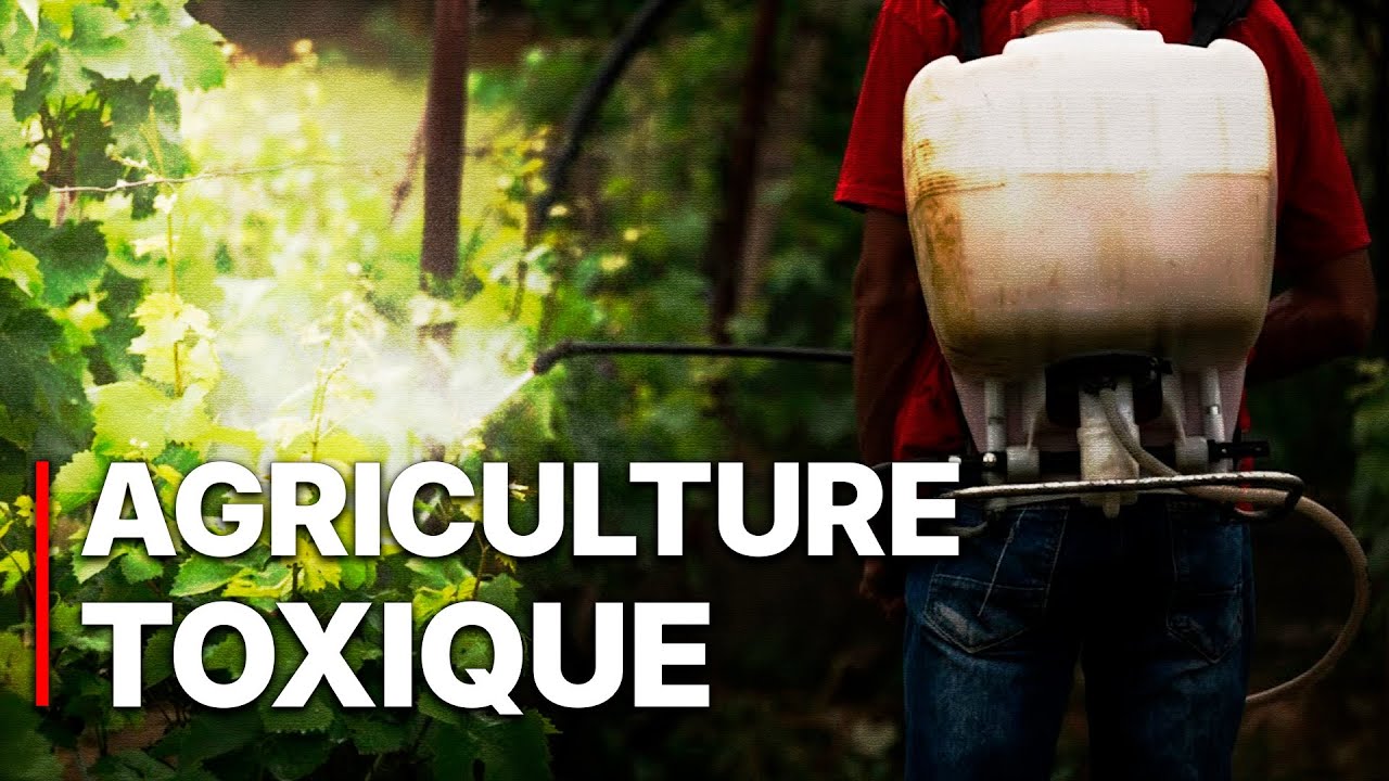 Pesticides, quand l’empoisonnement cessera-t-il?