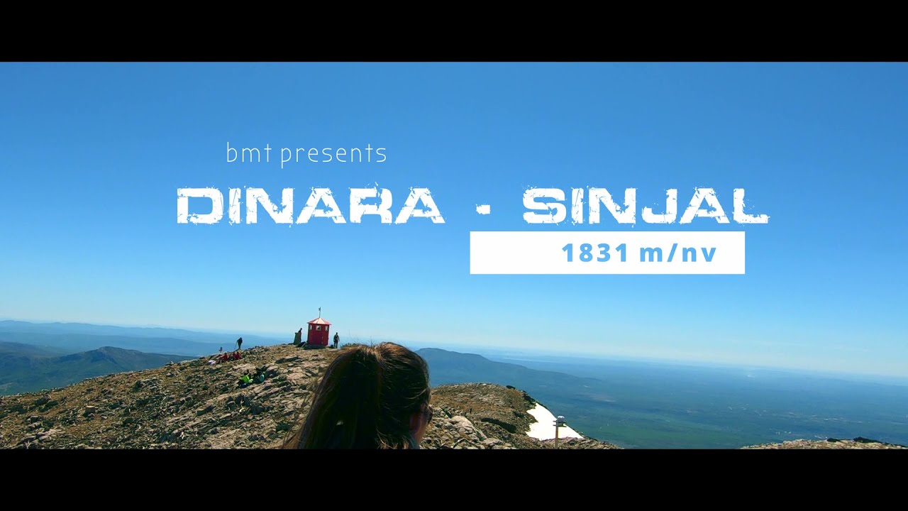 Dinara - Sinjal 2021.