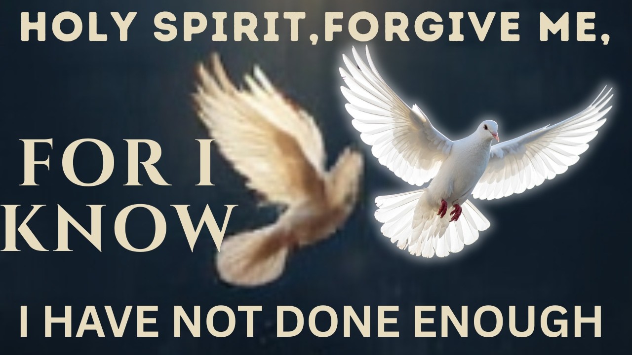 HOLY SPIRIT, FORGIVE ME, FOR I KNOW I HAVE NOT DONE ENOUGH