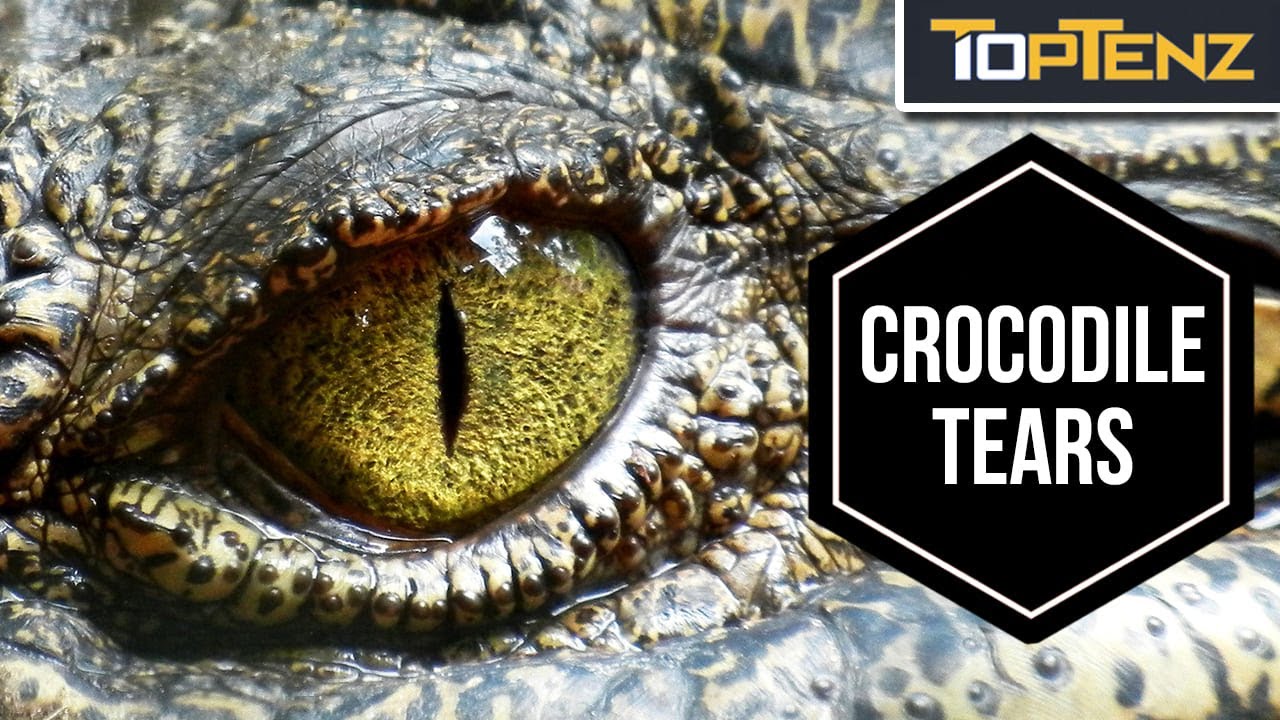 10 Bizarre Medieval Beliefs