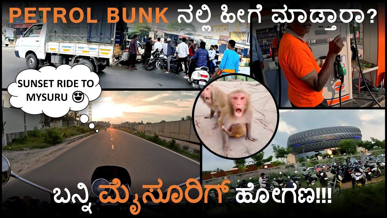 ಕೋತಿಗೂ 🐒 ಕೋಳಿಗೂ 🐔 ಮದ್ವೆ ಅಂತೆ ಬನ್ನಿ ಹೋಗಣ 😂 | BIKE RIDE TO MYSORE | CULTURAL CAPITAL OF KARNATAKA
