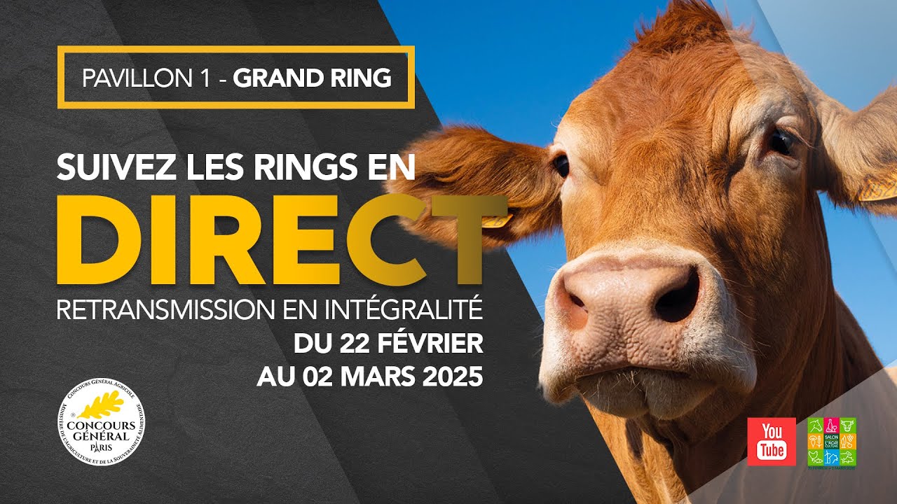 Grand Ring 27/02/2025