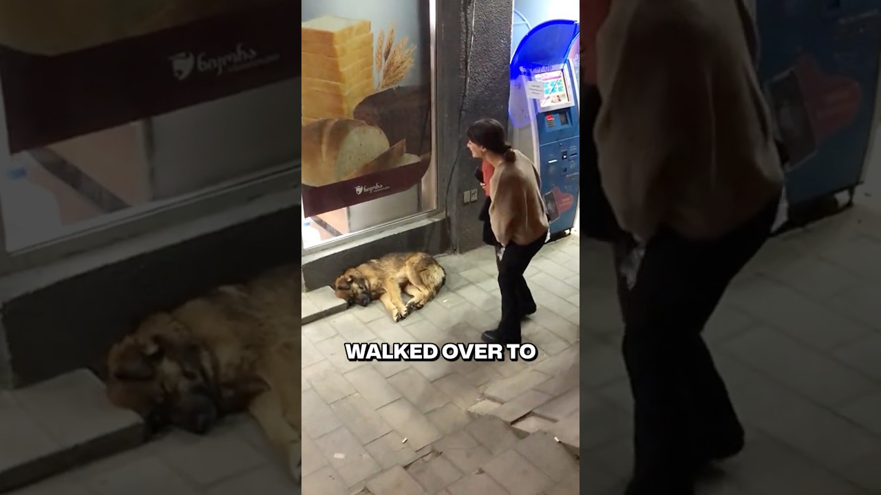 She Didn't Want To Leave Him In The Cold ❤️