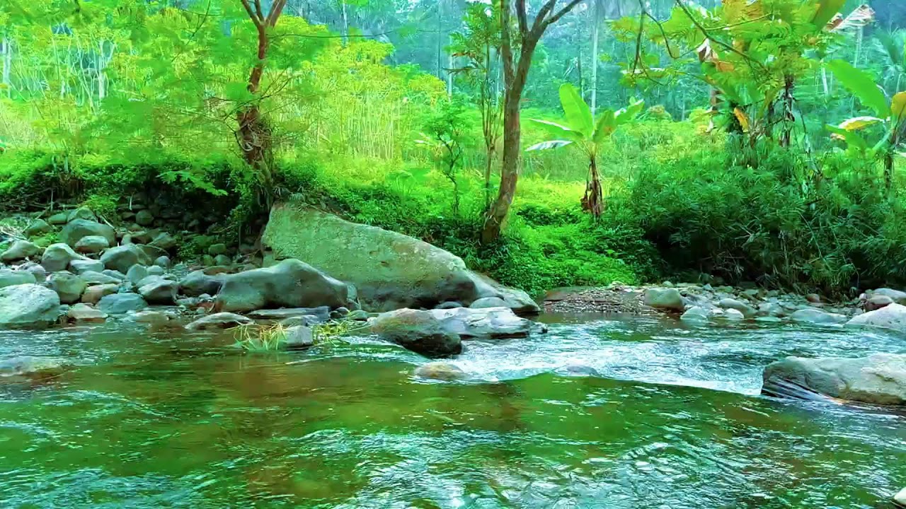 Healing River Soundscape for Meditation, Stress Relief, and Sleep