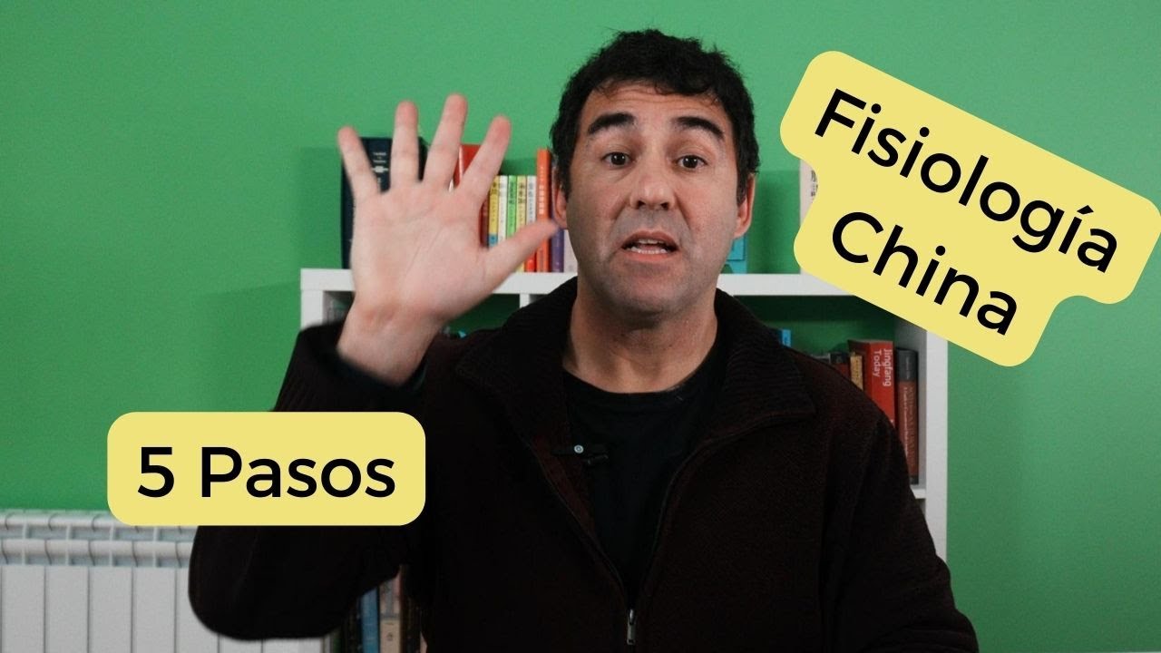 5 Pasos para aprender Fisiología China Clásica