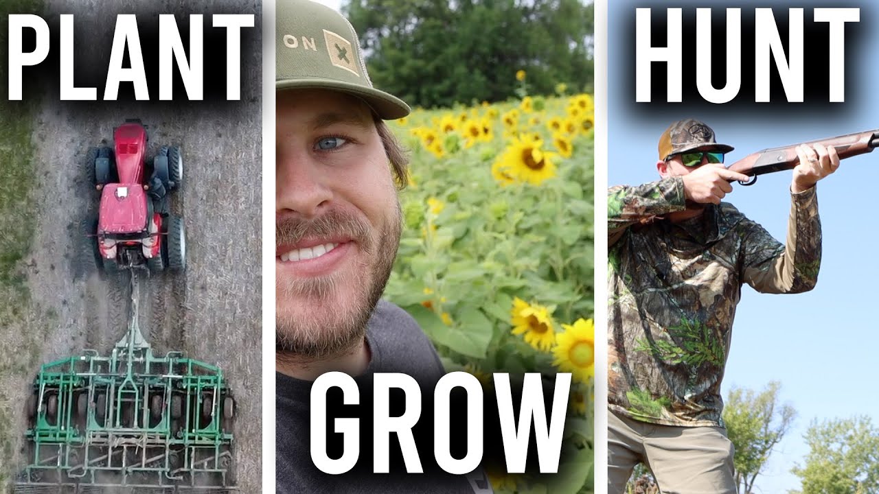 Build It & They Will Come | $100 Dove Field