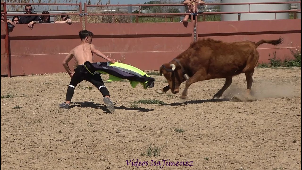 Capea Privada - Cumpleaños Jesús Pellejero - Alfajarín (Zaragoza) - 13/04/2024 - HD