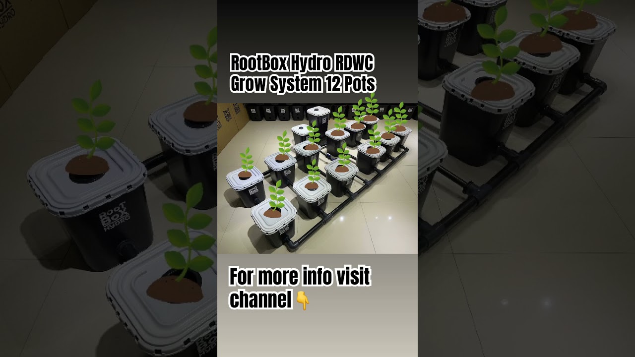 RootBox Hydro RDWC Hydroponic Grow System 12 Pots #hydroponics #grow #indoorplants #RDWC #420
