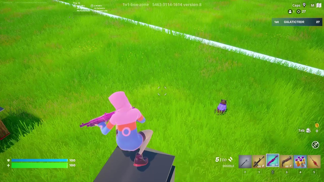 FORTNITE STREAM.