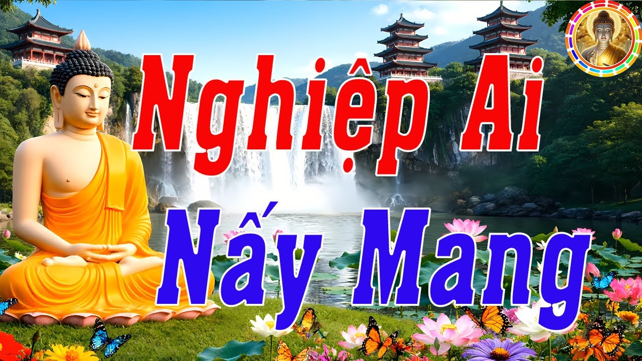 Bài Giảng 12 - NGHIỆP AI NẤY MANG – NHÂN QUẢ KHÔNG CHỪA MỘT AI I Giảng Kinh Audido - Boy Men Trí