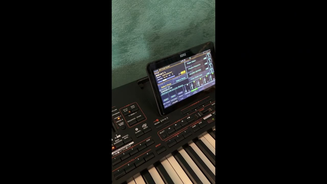 SET KORG PA3X PA4X PA5X         Banat