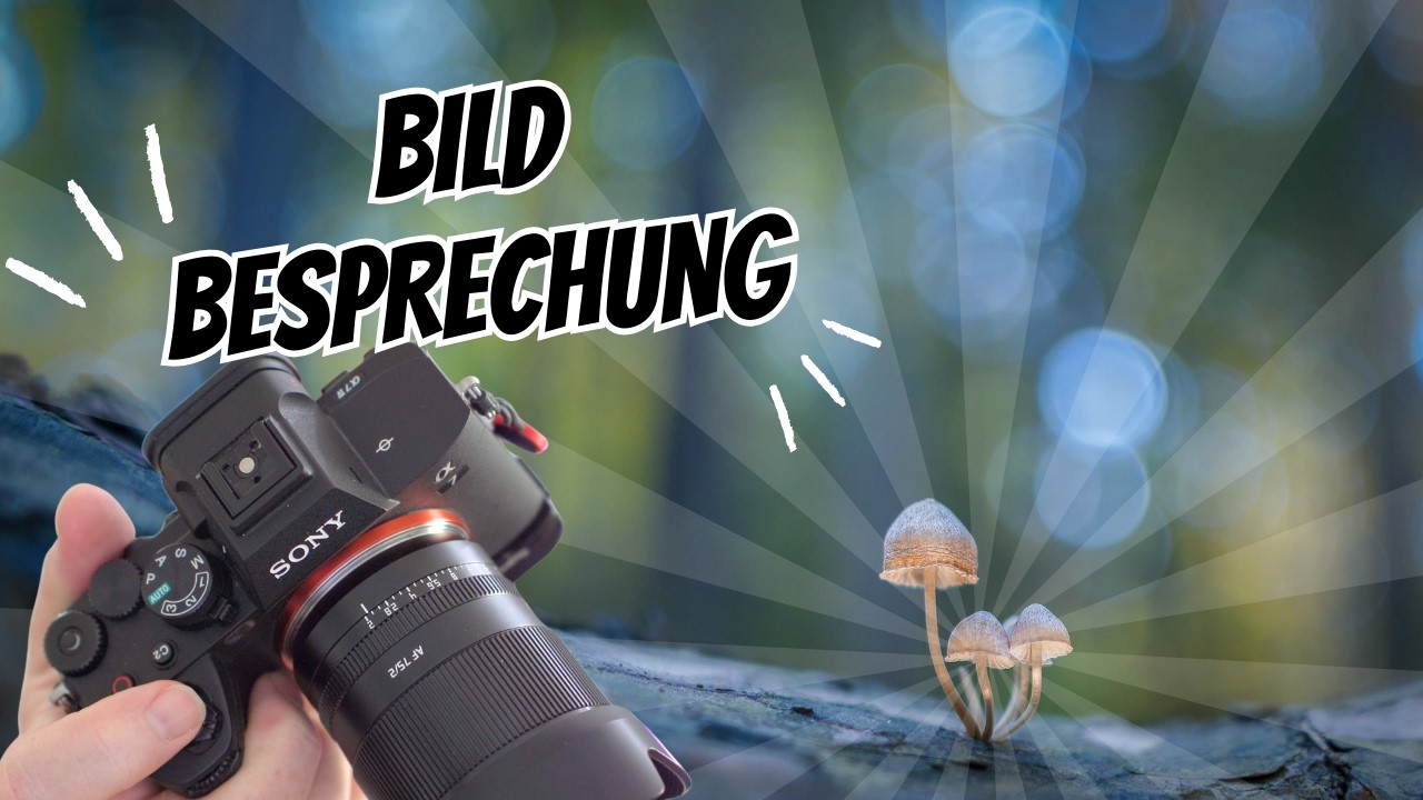 Bildbesprechung eurer tollen Fotos _ Teil 76