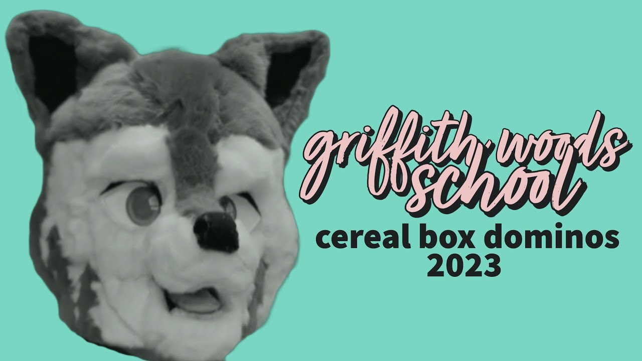 Griffith Woods School Cereal Box Challenge 2023