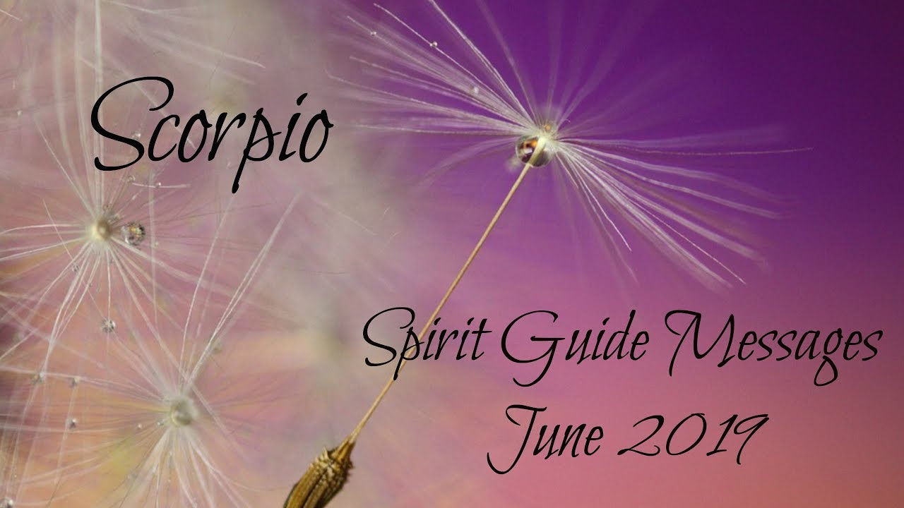 Scorpio - You're 100% right - trust your intuition! - Spirit Guide Messages June 2019