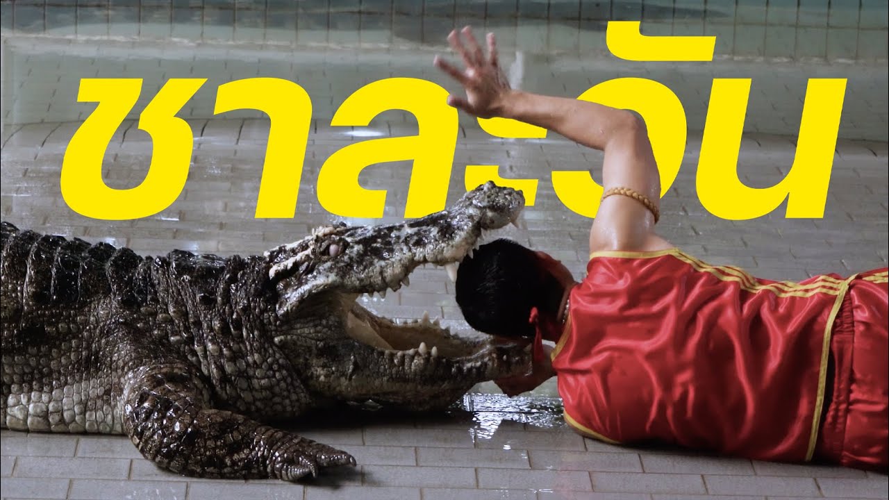 AHEM - ชาละวัน | Official MV |