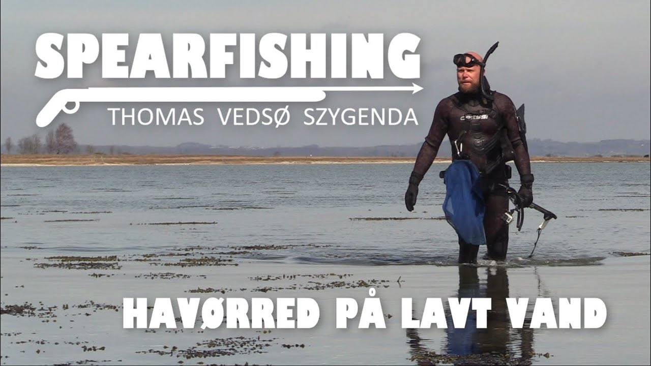 Undervandsjagt efter havørred om dagen
