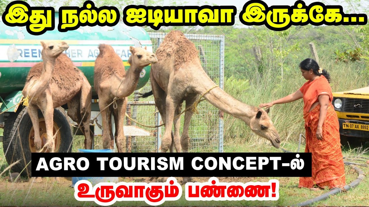 இதுதான் உண்மையான வாழ்க்கை | Organic Farming -ல் கலக்கும் Business Women | Agro Tourism