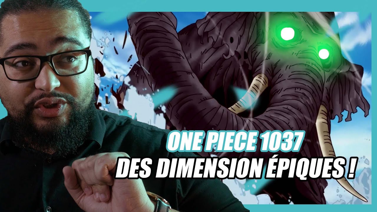 DES DIMENSIONS &Eacute;PIQUES |ONE PIECE 1037
