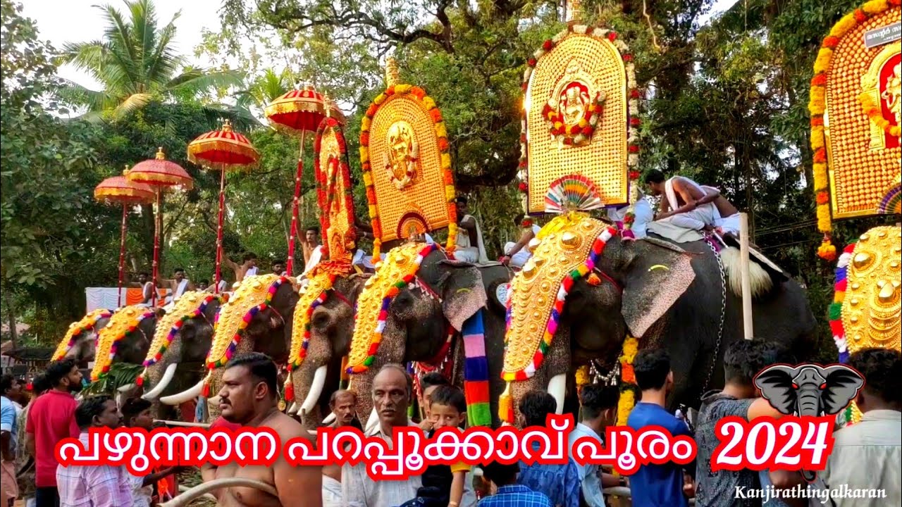 പഴുന്നാന പറപ്പൂക്കാവ് പൂരം 2024 || Pazhunnana Parappukkavu Pooram 2024